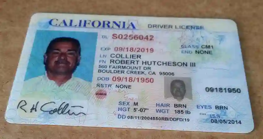 Fake Online ID